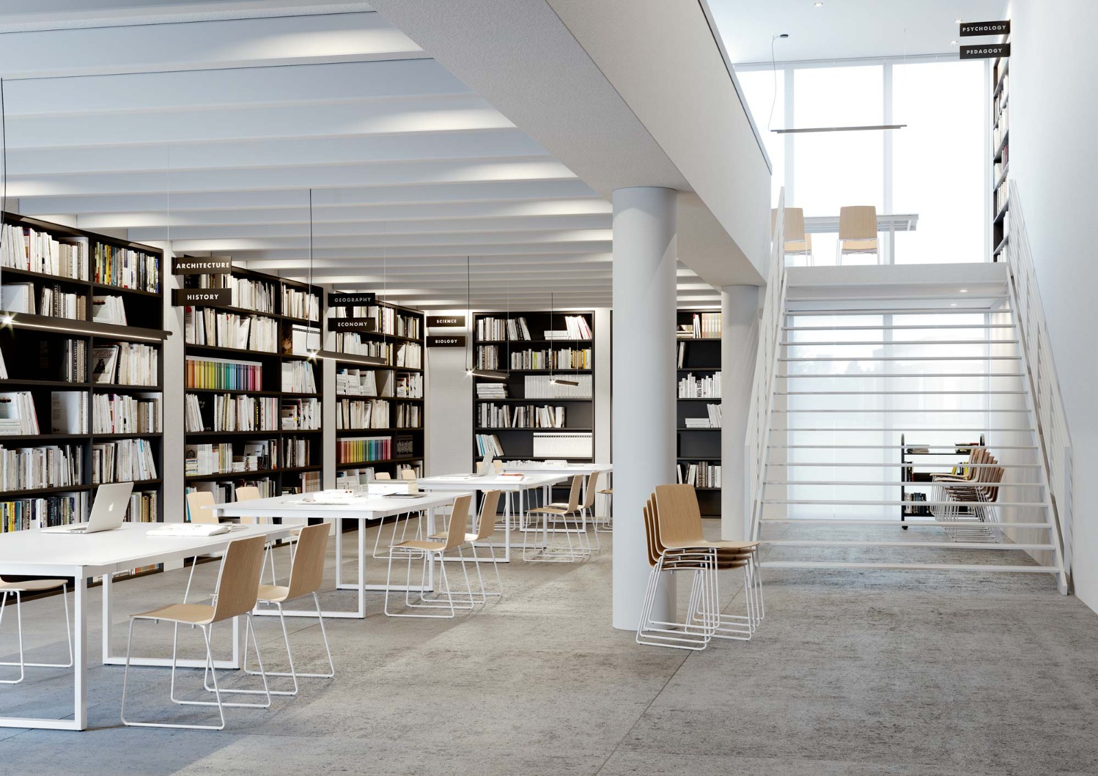 Misr International University, Library